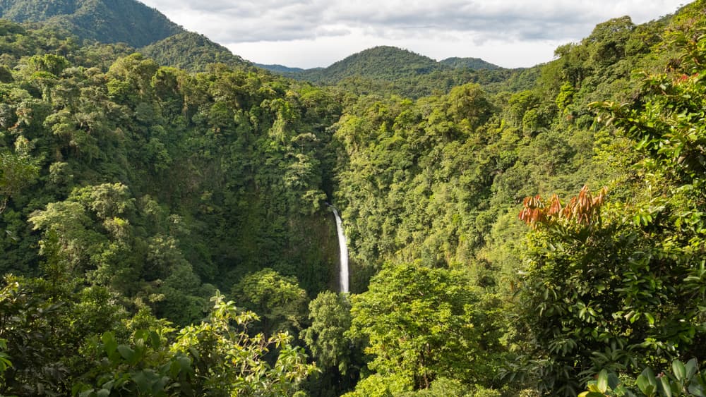 Arenal y Monteverde